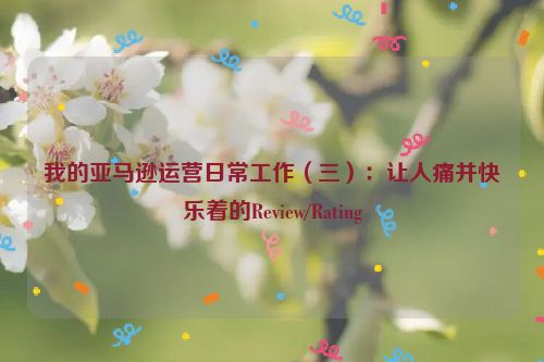 我的亚马逊运营日常工作（三）：让人痛并快乐着的Review/Rating 第1张