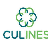 中联航运CUL船期查询