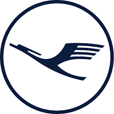 太阳快运航空